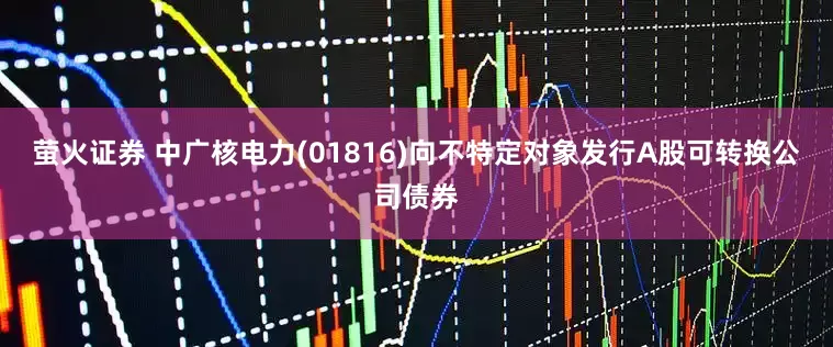 萤火证券 中广核电力(01816)向不特定对象发行A股可转换公司债券