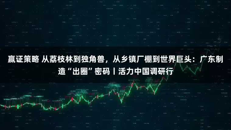 赢证策略 从荔枝林到独角兽，从乡镇厂棚到世界巨头：广东制造“出圈”密码丨活力中国调研行