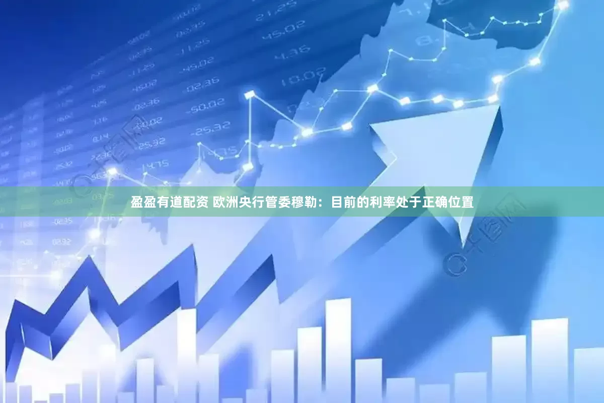 盈盈有道配资 欧洲央行管委穆勒:目前的利率处于正确位置